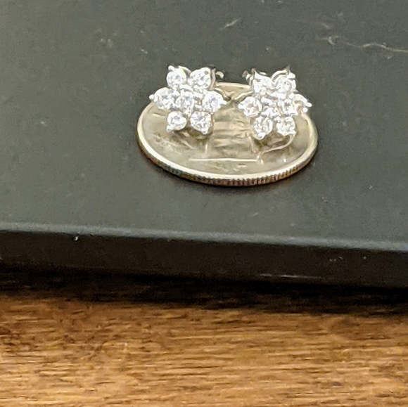 XTRA PICS - Diamond 14kt White Gold Earrings - Picture 5 of 13